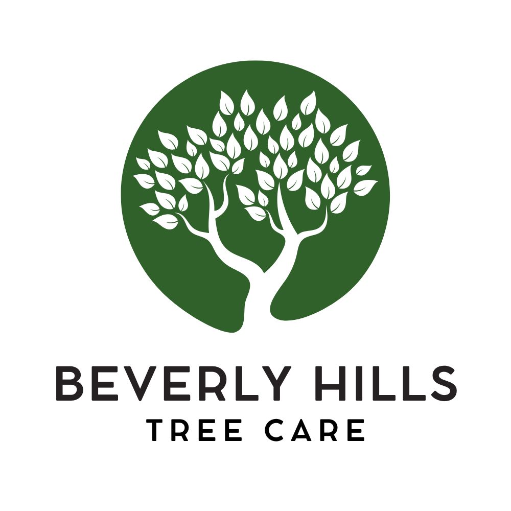 Beverly Hills Tree Care